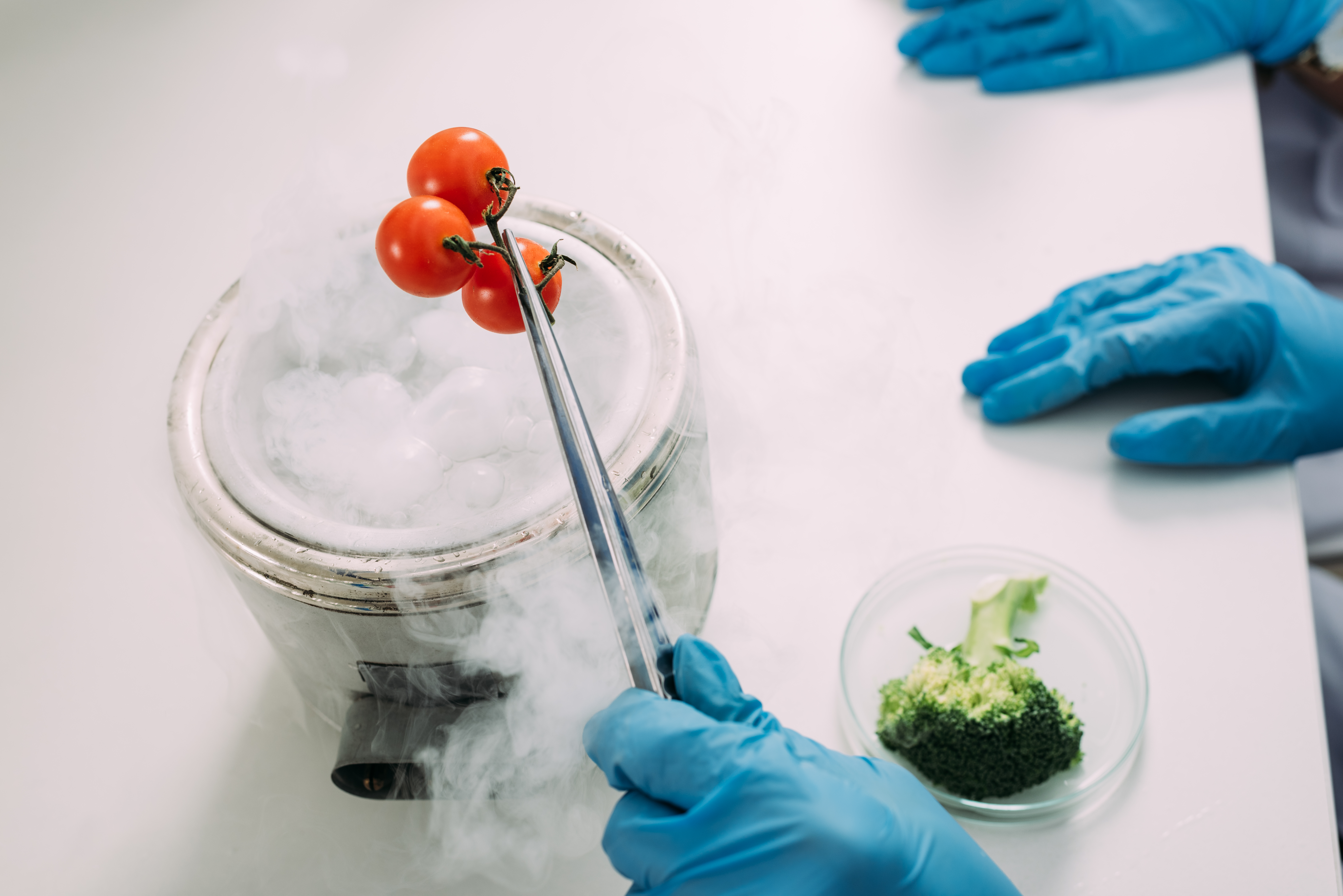 Food Processing & Hydrogenation