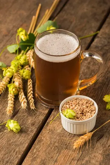  The Benefits of Stainless Steel Kegs for Breweries