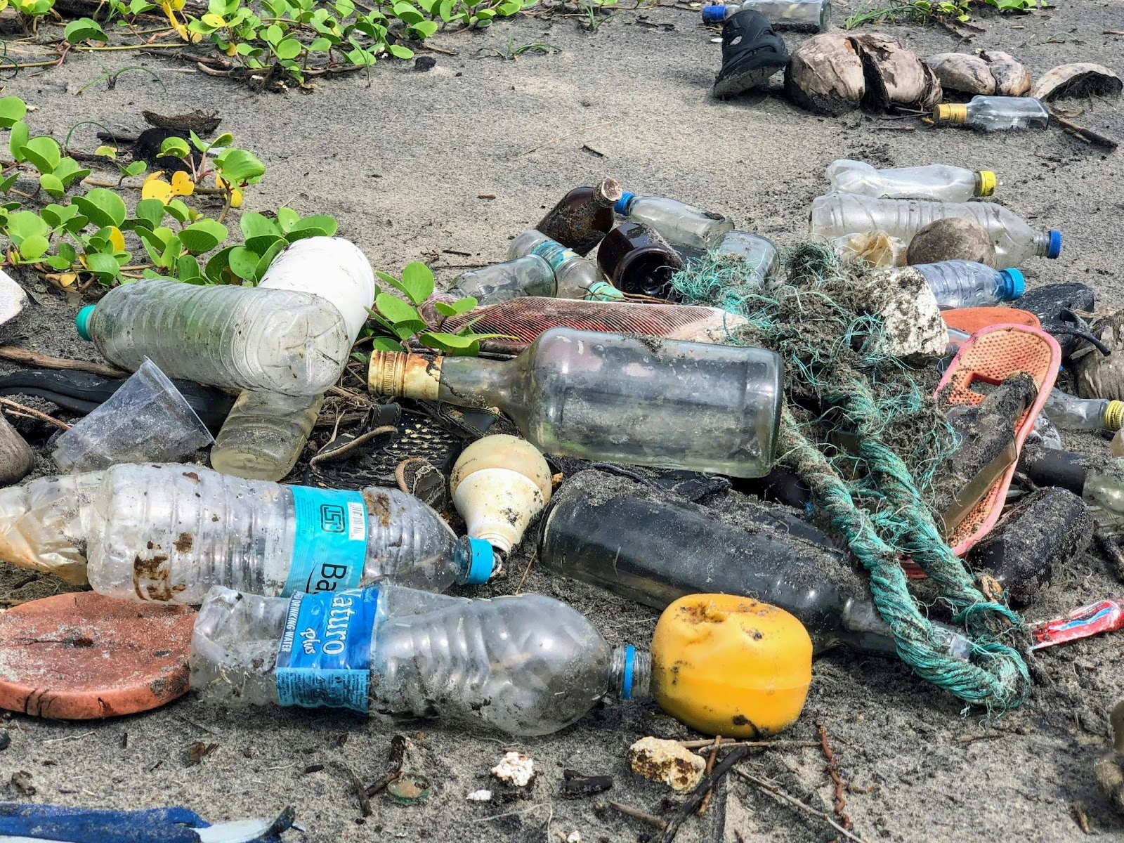  The carbon footprint of steel kegs is estimated to be about 68% lower than that of single-use glass bottles